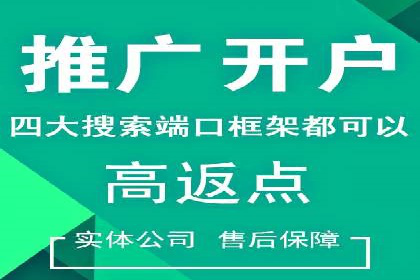 网络推广秘籍：竞价排名成功案例集锦